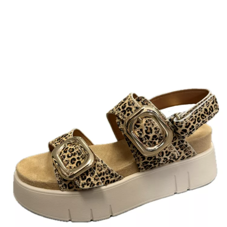 Sandales léopard à plateforme de la marque Mam'Zelle. Référence : CSGNQ06 Leo Beige. Disponible chez Chauss'Family magasin de chaussures à Issoire.